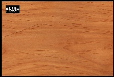 佛山市南海區(qū)駿藤家具 熱推新品真藤沙發(fā)，引領(lǐng)酒店家具新潮流